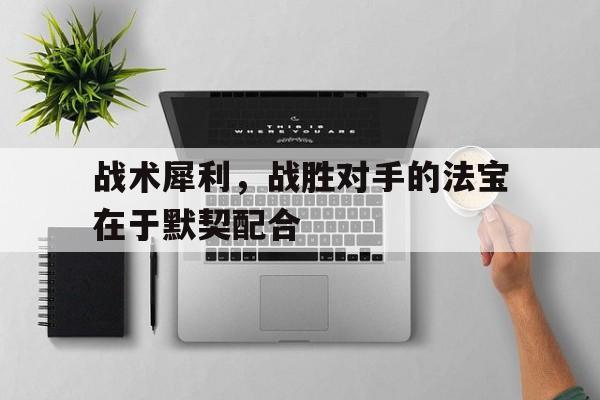 战术犀利，战胜对手的法宝在于默契配合